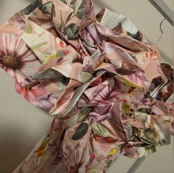 Aje Misha Maxi Dress Floral Maxi Pink 3D Flowers Size 6/US2 Party Weadding - Picture 7 of 7